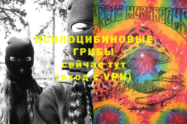 МДПВ Алзамай